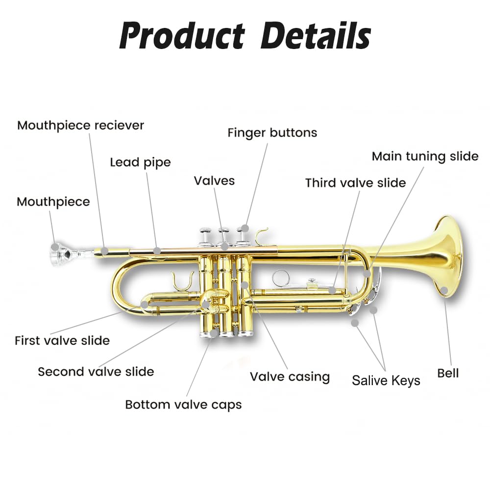 Standard Trumpet Set with Carrying Case 7C Mouthpiece Brass Z360