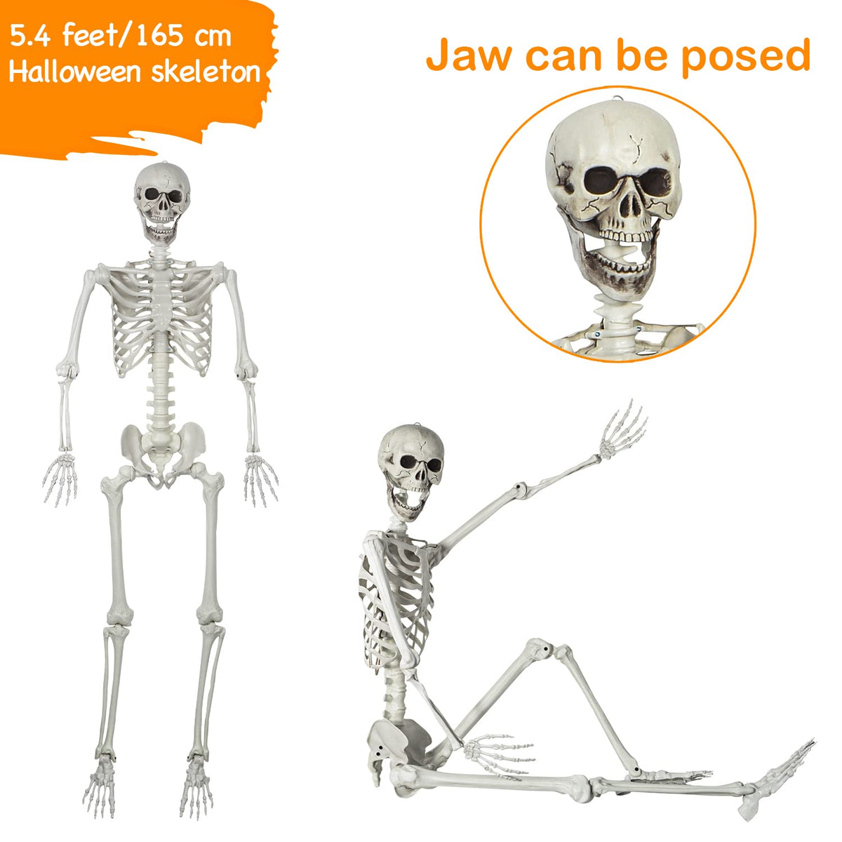 5.4ft Posable Full Body Skeleton with Movable Joints N528512