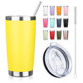 20oz Stainless Steel Vacuum Insulated Tumbler with Straw E7752