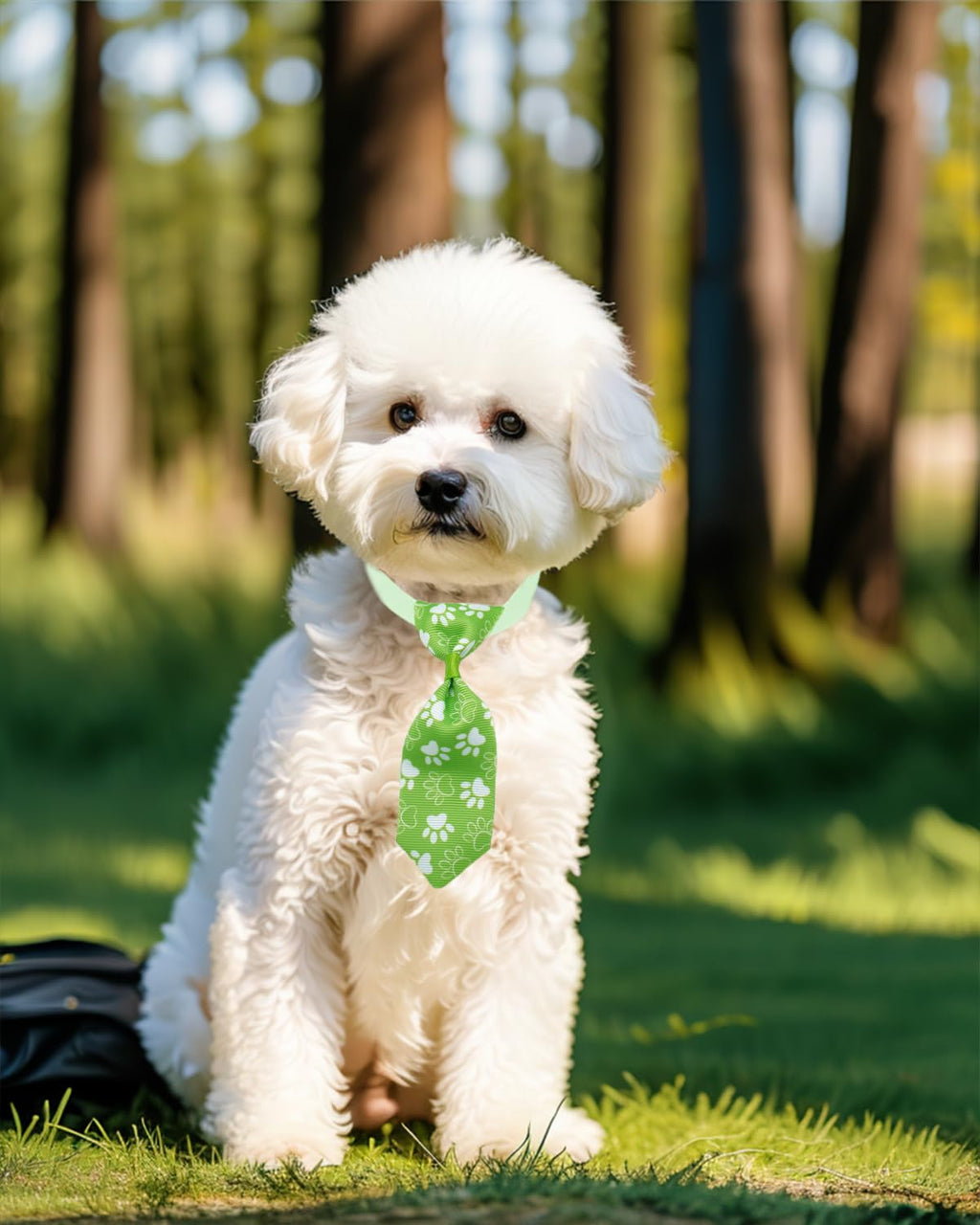 100 Pack Small Dog Bows and Ties W62633