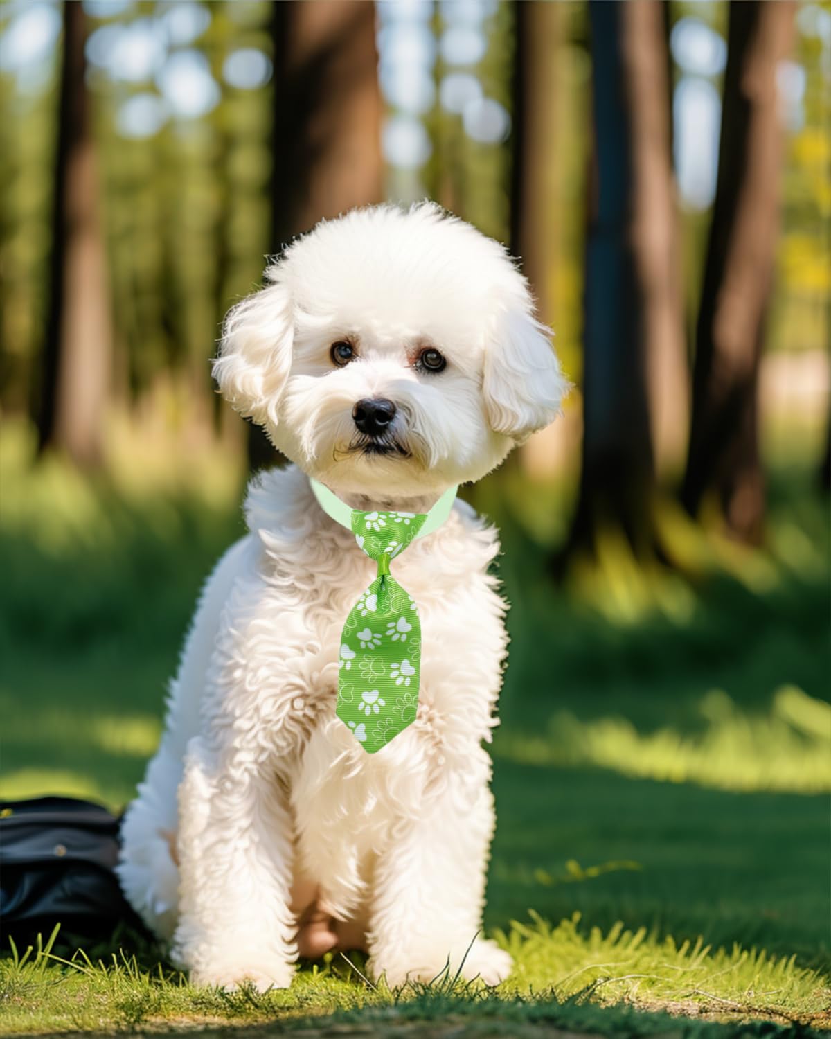 100 Pack Small Dog Bows and Ties W62633