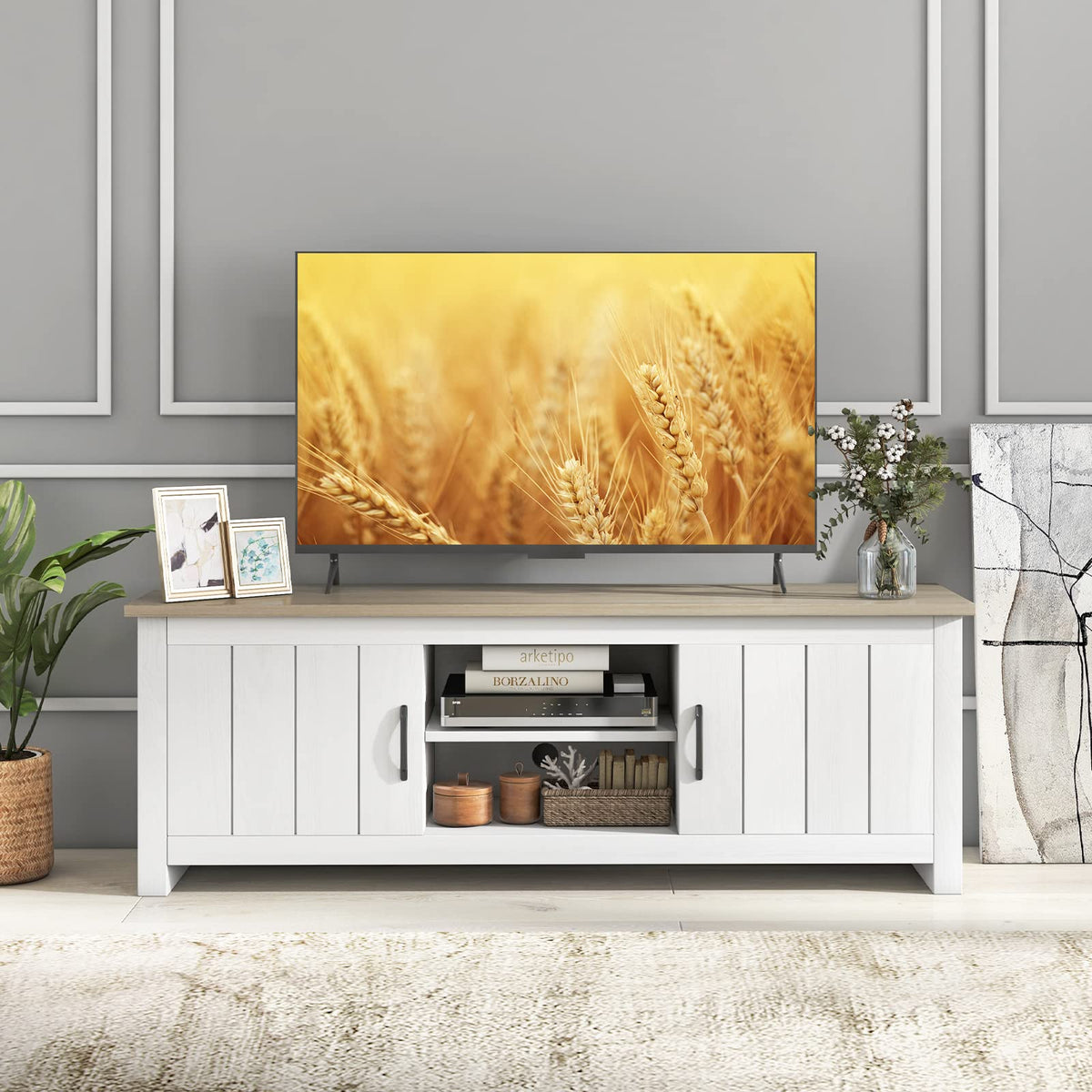 2 Doors TV Stand with 2 Cabinets & Open Shelves C606294