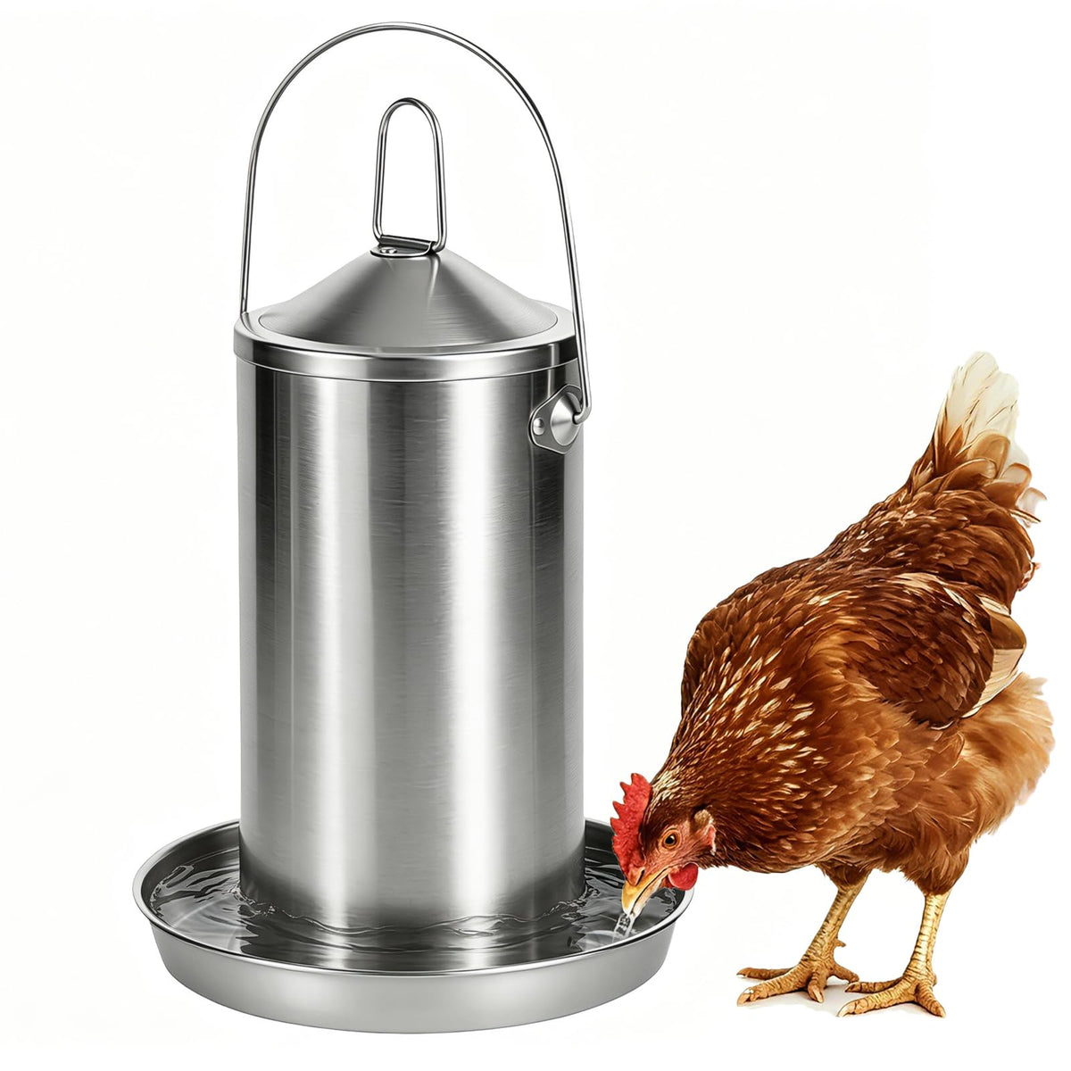 Stainless Steel Chicken Waterer X8767