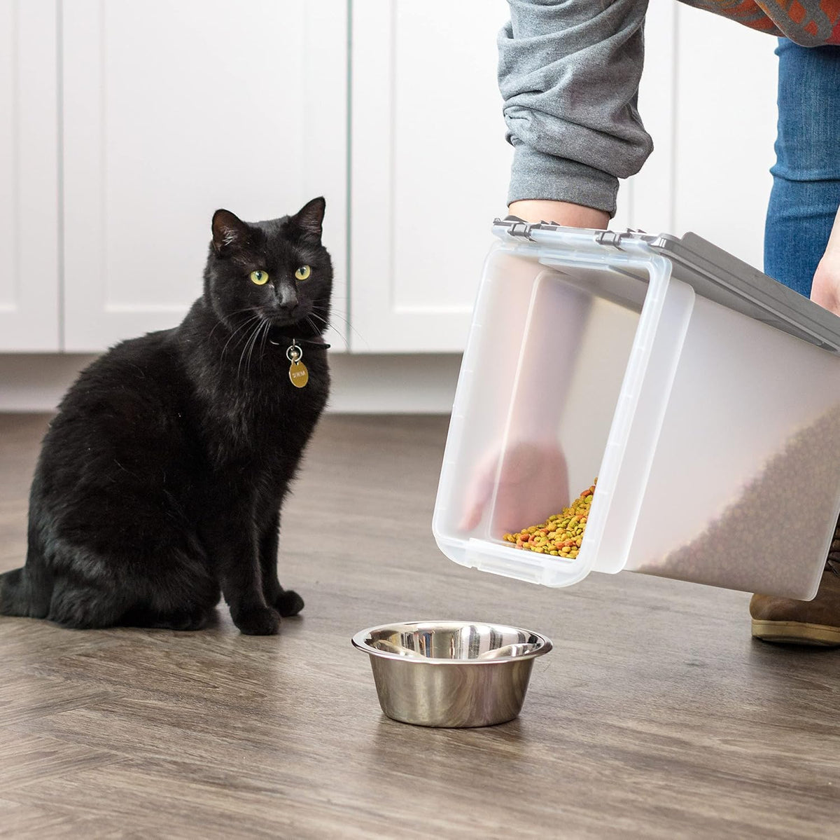 Dog Food Storage Container Up to 10 lbs O2867