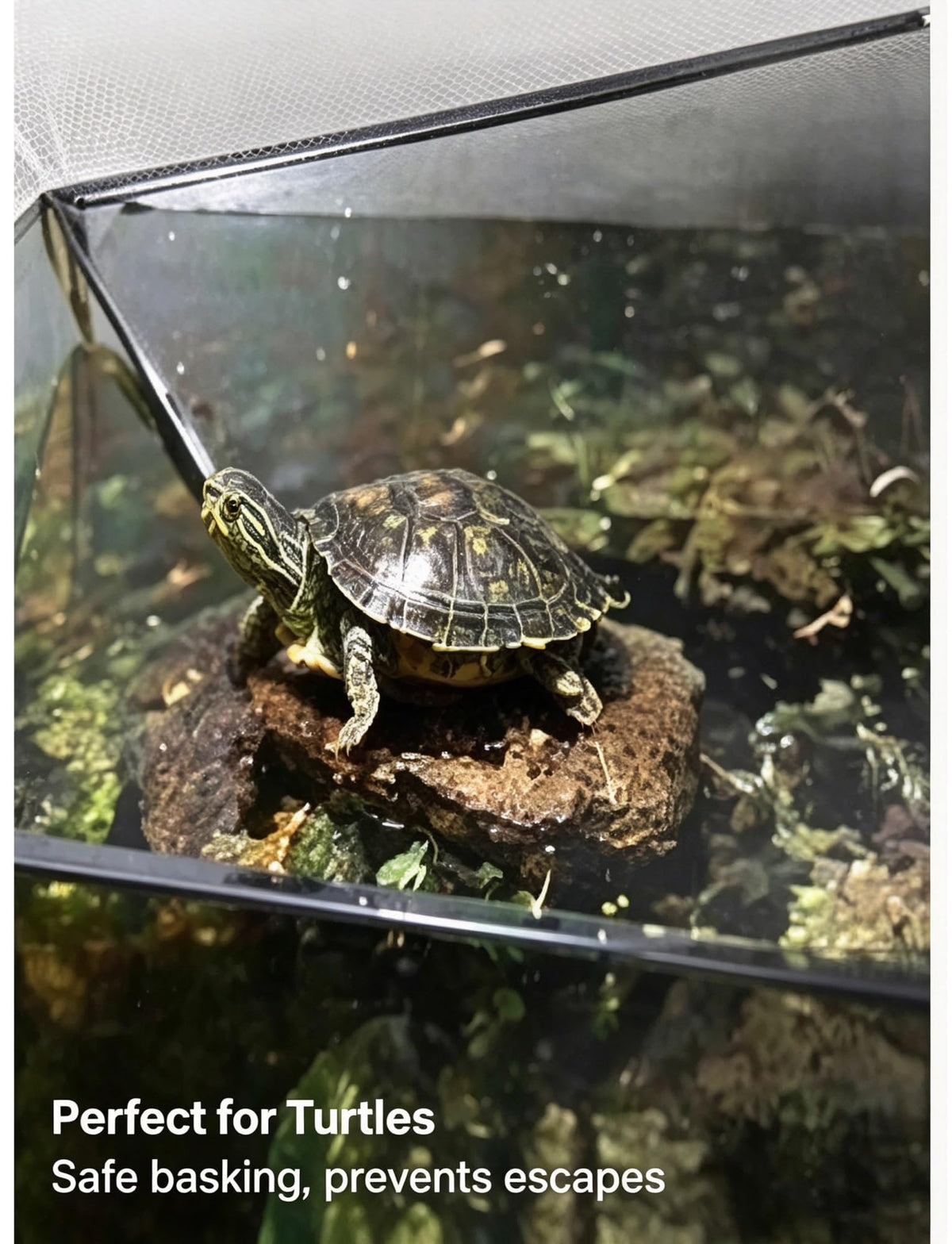 Aluminum Mesh Lid for Fish Tank N917
