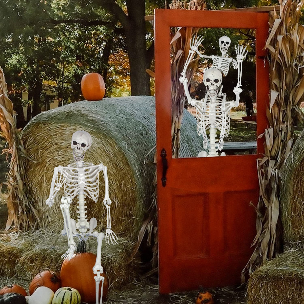 5.4ft Posable Full Body Skeleton with Movable Joints N528512