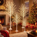 4 Pack Lighted Birch Tree Y597