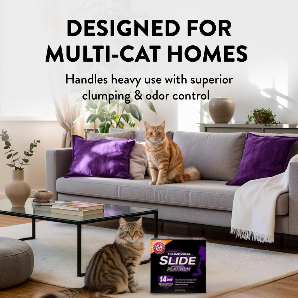 Clumping Cat Litter, 37 Lbs B785032