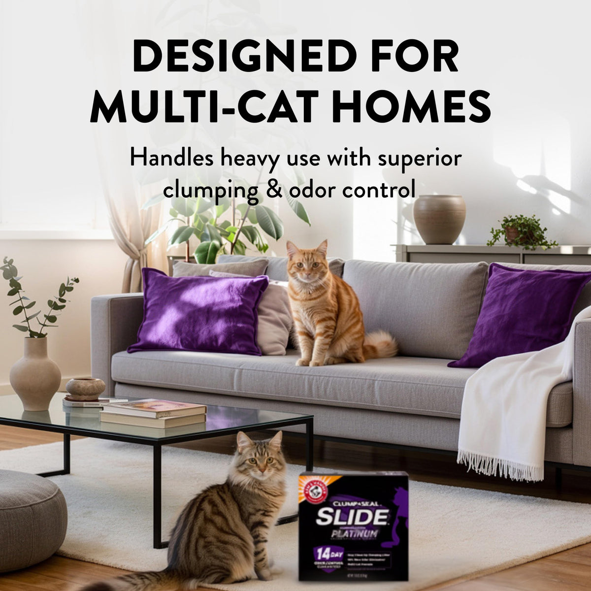 Clumping Cat Litter, 37 Lbs B785032