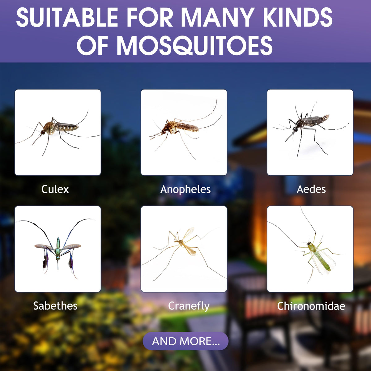 5 Lures Mosquito Attractant Bait Refill Cartridge T72341