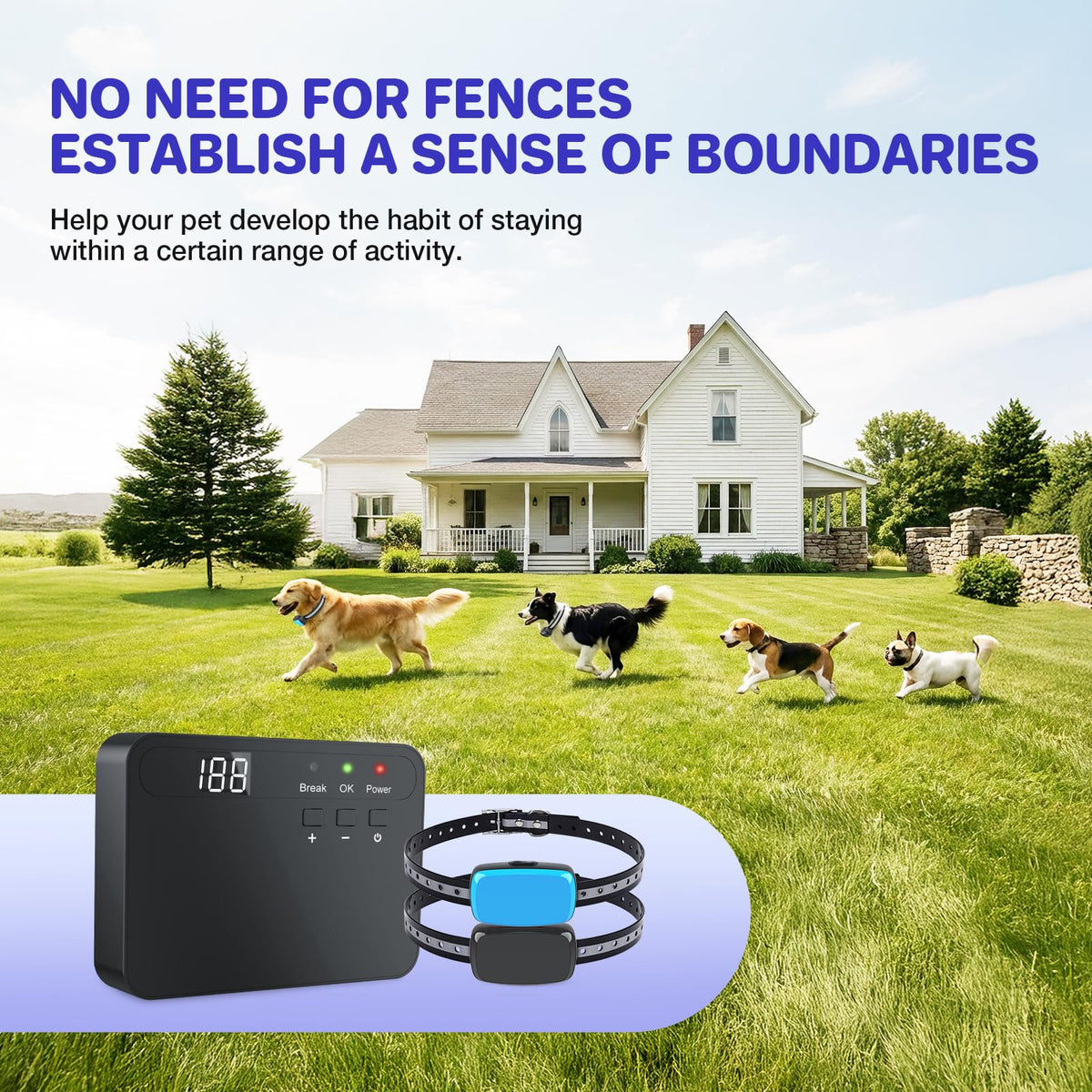 Electric Dog Fence System for 2 Dogs G756