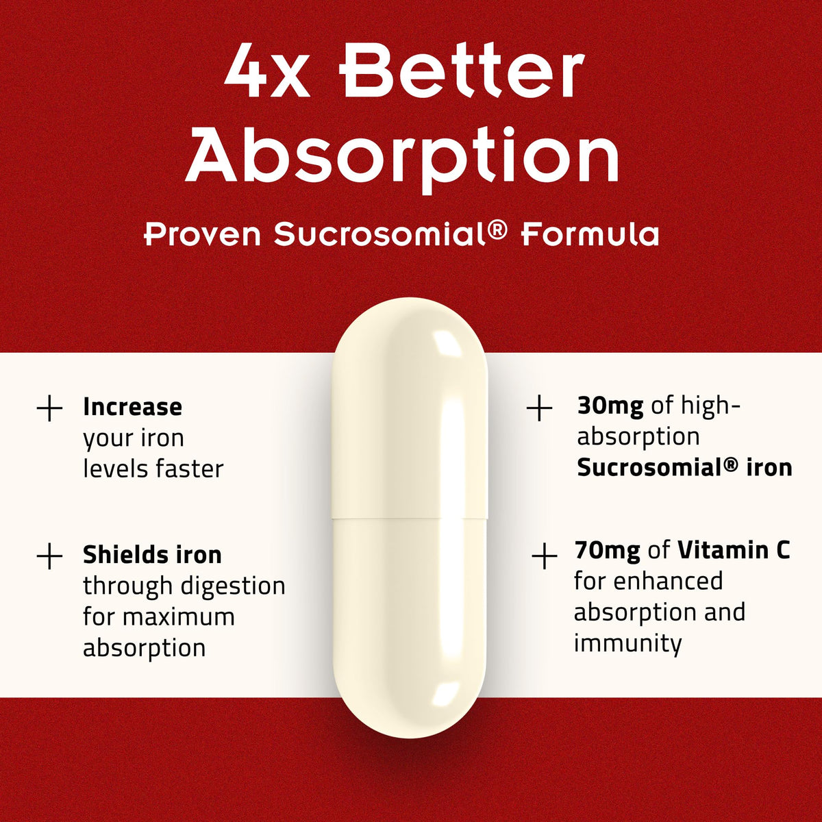 Iron Supplement with Vitamin C, 30ct D1009