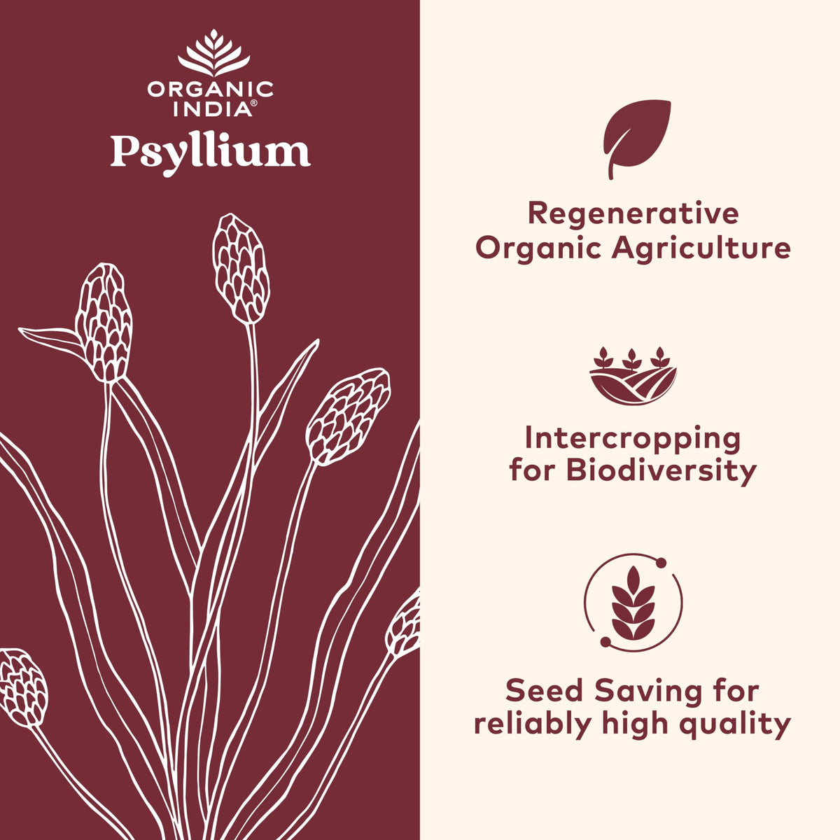 Psyllium Husk Capsules Fiber Supplement Vegan 180 Count H9649