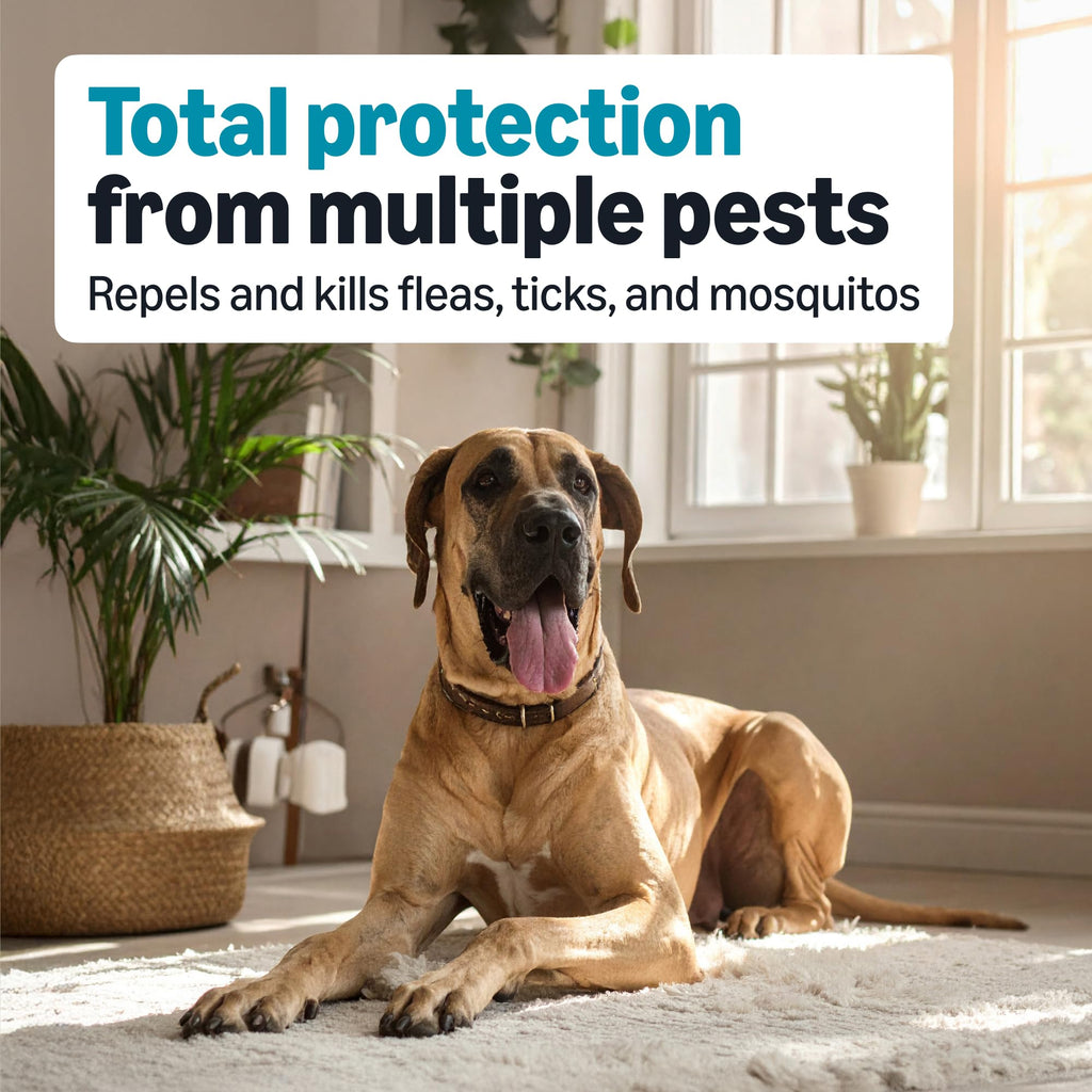 Flea, Tick & Mosquito Topical Treatment for X-Large Dogs, 6 Count K989