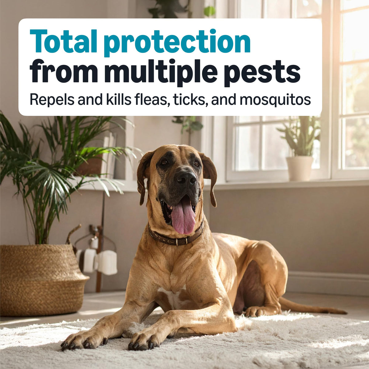 Flea, Tick & Mosquito Topical Treatment for X-Large Dogs, 6 Count K989
