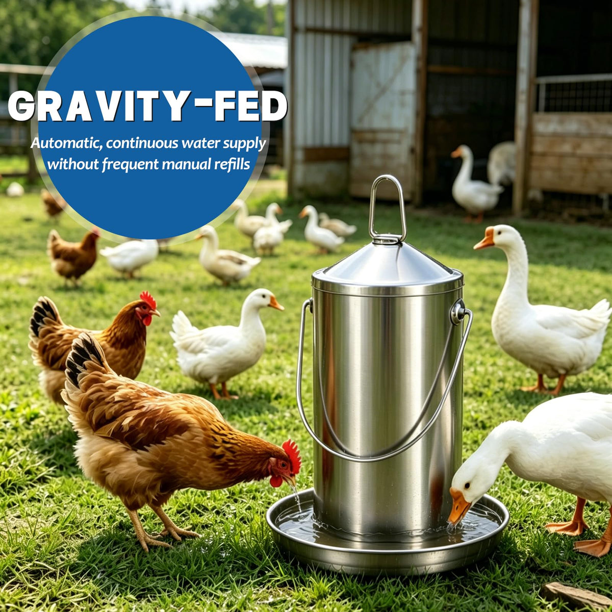 Stainless Steel Chicken Waterer X8767